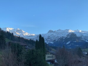 View