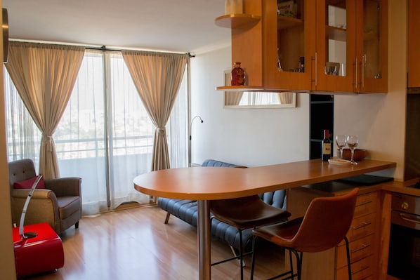 Gorgeous apartment in Providencia