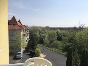 View from one of the balconies