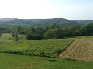Backyard view in the Summertime