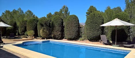 Large outdoor and private swimming pool (10m x 5m).