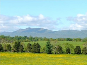 Mountain views from the porch