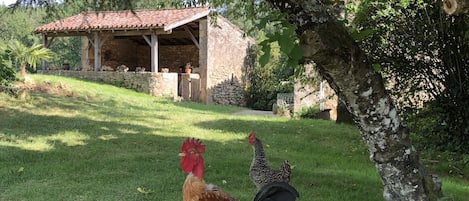 Enceinte de l’hébergement