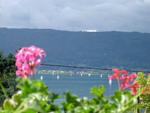 Vue un jour gris en été