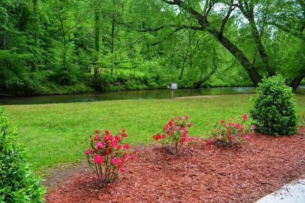 Riverlife view
