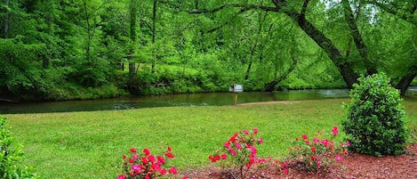 Downstream View from the screened in deck on the Hooch!