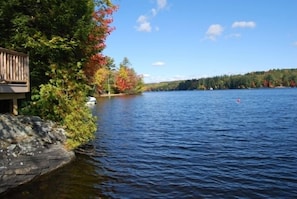 Looking north up the lake from the dock.