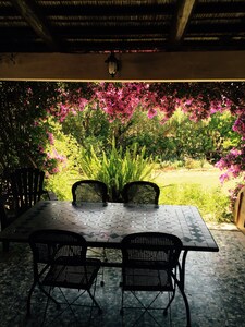 The bougainvillea, a corner of paradise in the countryside