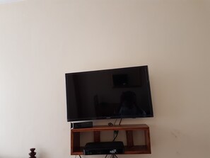 Television