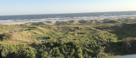 Enjoy the ocean over the dunes. 