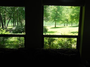 View of lake from guest house