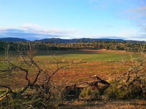 Boendeområde