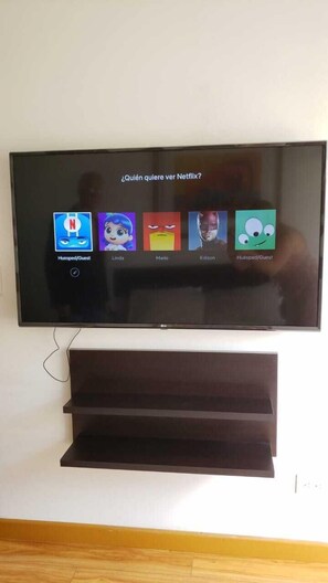 Television