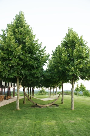 Relax in the hammock on the kept grounds