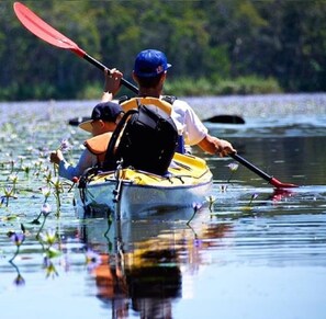 Have a paddle on Lake Weyba, part of the Noosa Everglades