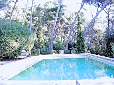 Very private 12x6 metre pool in outstanding garden