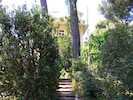 Leafy path to private pool.