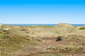 Vue sur l'eau