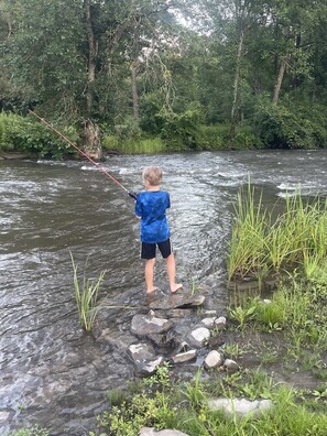 Oaks Creek is stocked w/ brown trout every Spring. Many other fish are found too