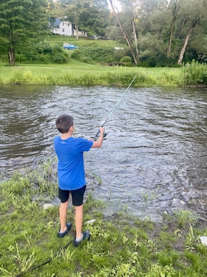 Oaks Creek is stocked w/ brown trout every Spring. Many other fish are found too