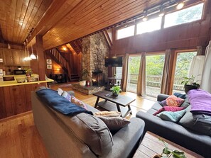 Living Room & Fireplace