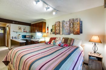 Snowline Lodge Condo #46 - Free Wi-Fi* - Sleeps 2