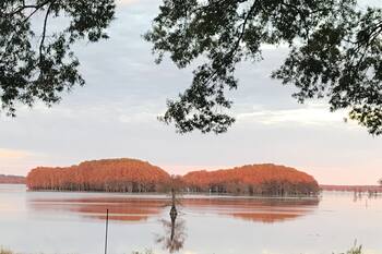 One-of-a-Kind Caddo Lake Retreat with Spectacular Waterfront Views