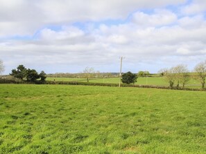 Terrain de l’hébergement 