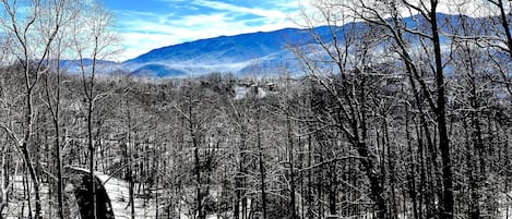 Winter view from upper deck