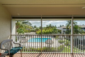 View of tropical grounds from screened lanai