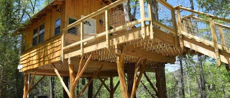 View from the side of the stairs leading to our treehouse