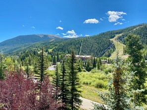 Summer views! #summer
