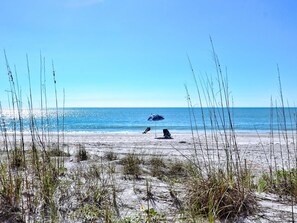 Natural dunes on the beach.