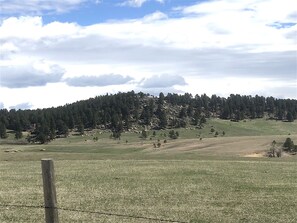 View of the house from the road below (zoom in to see it at top of the bluff)