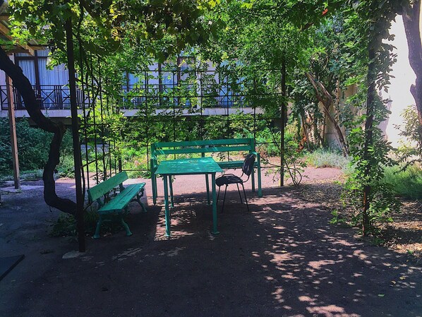 Terraza o patio