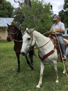 Horse Farm Luxury Historic Home for 6 -  furnished covered porch & Horse Riding!