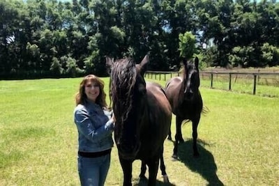 Horse Farm Luxury Historic Home for 6 -  furnished covered porch & Horse Riding!