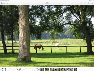 Horse Farm Luxury Historic Home for 6 -  furnished covered porch & Horse Riding!