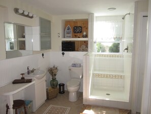 Open 'California Style' shower w/ stereo system.