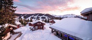Ulkopuoli