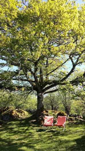 Overnatningsstedets område