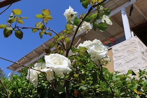 Außendetails