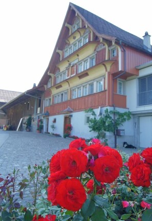 Picture 3