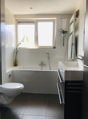 Main Bathroom (also includes shower)