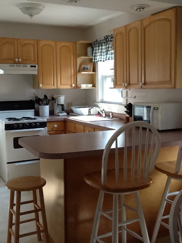 Kitchen Area - Open Floor Plan