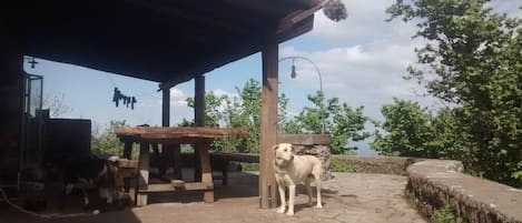 Terraço/pátio interior