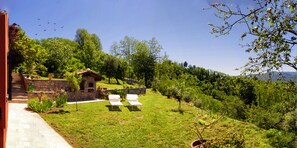the garden