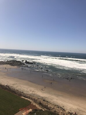 View from the Deck.  Rocks and tide pools accessible at low tide