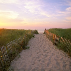 The path to Crosby Landing beach, about 3 miles from the house.