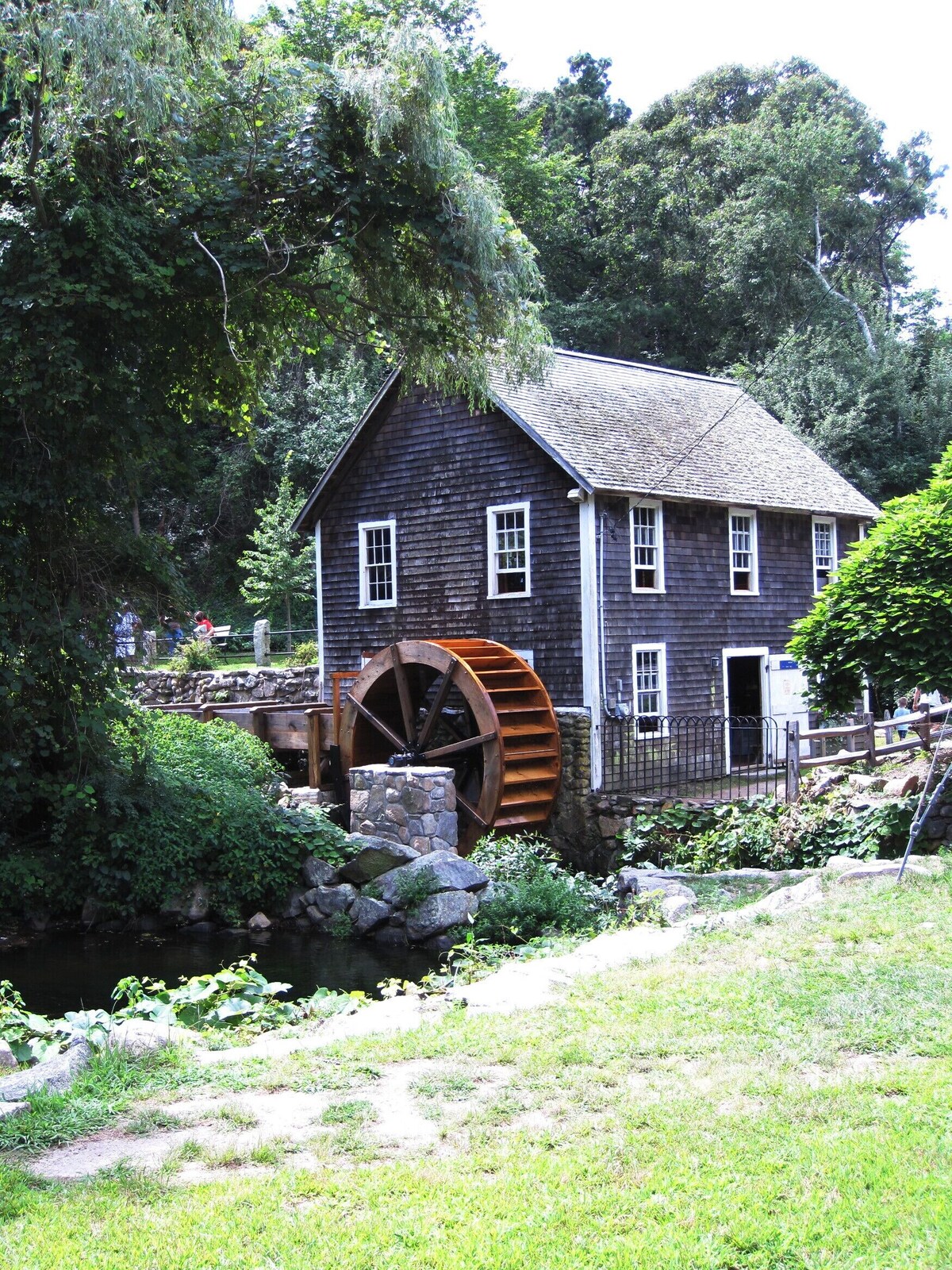 Main Image